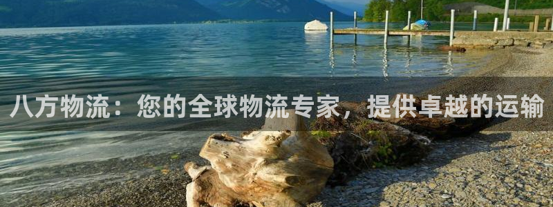 28圈APP是干什么的：八方物流：您