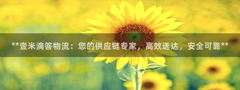 28圈激活码