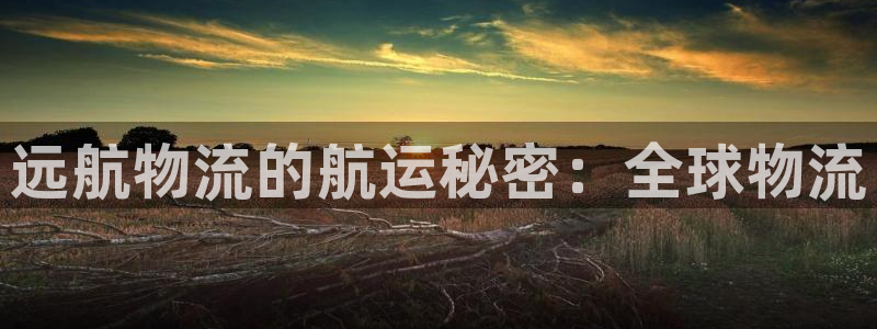 28圈加拿大