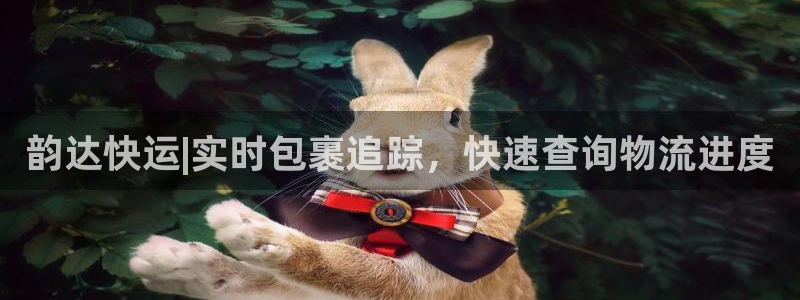 28圈登录不上咋回事：韵达快运|实时