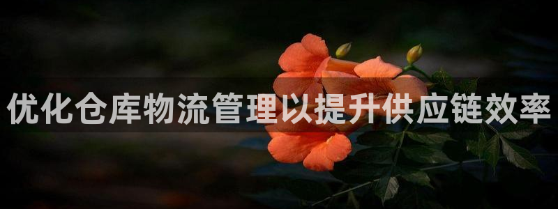 28圈怎么下载