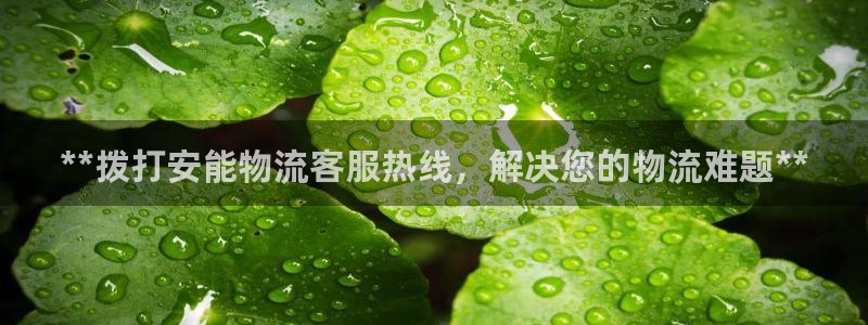 28圈.ccm