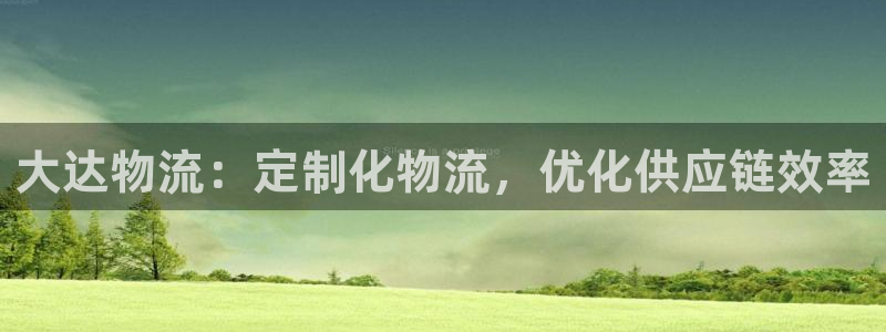 28圈怎么注册账号：大达物流：定制化