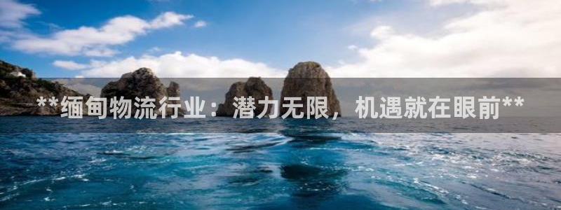 28圈p图上分下款通道