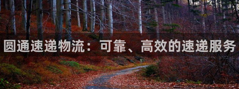 28圈登录不上咋回事：圆通速递物流：