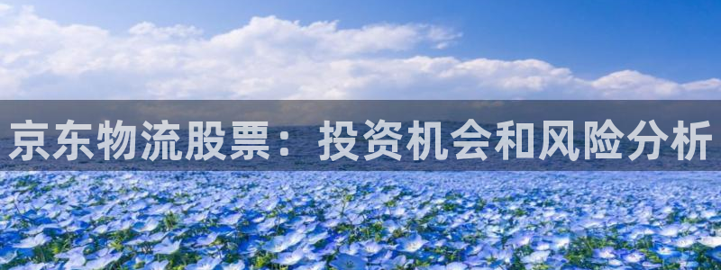 28圈圈助手