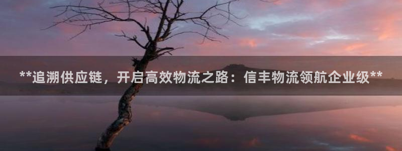 28圈加拿大pc预测