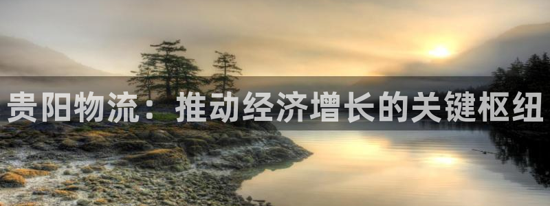 28圈注册号：贵阳物流：推动经济增长