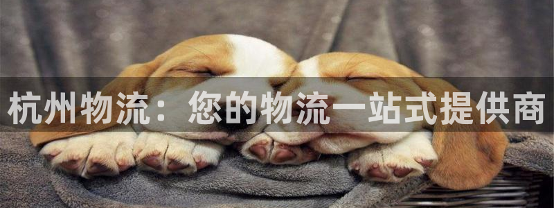 28圈的平台：杭州物流：您的物流一站