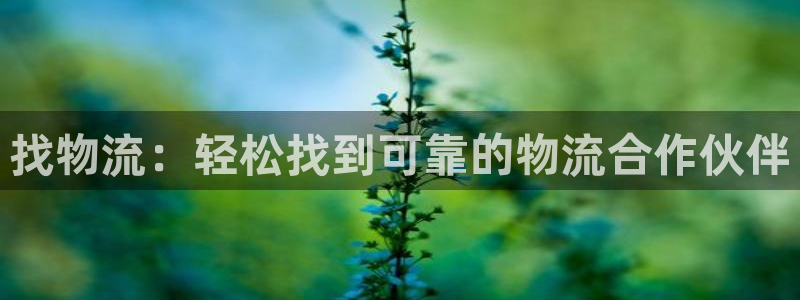 28圈下载二维码