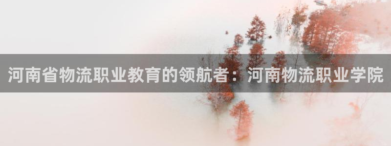 28圈加拿大能提现吗：河南省物流职业