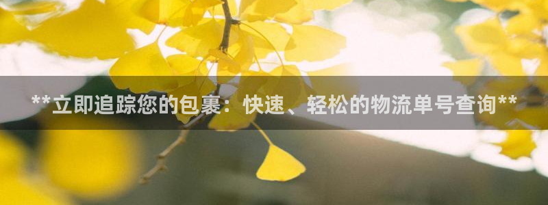 28圈比特28真实吗