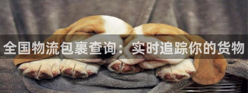 28圈登录流程：全国物流包裹查询：实