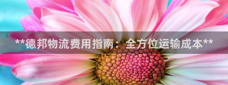 28圈龙虎