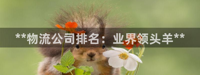28圈链接