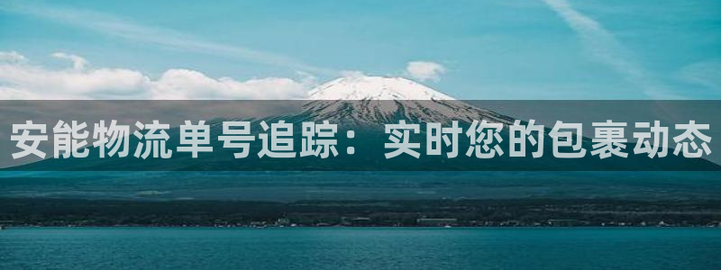 28圈注册网站多少钱一个：安能物流单