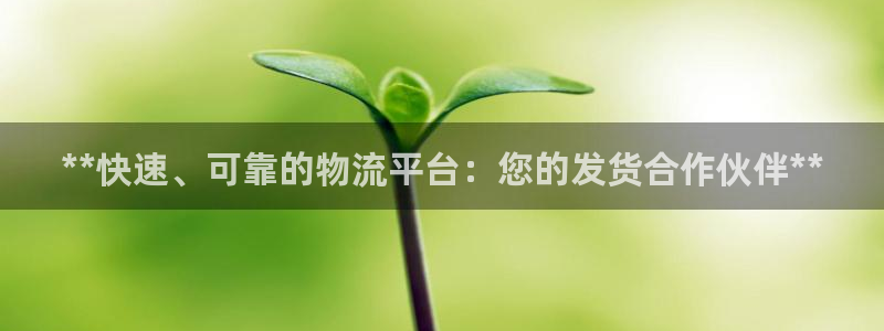 28圈开奖预测：**快速、可靠的物流