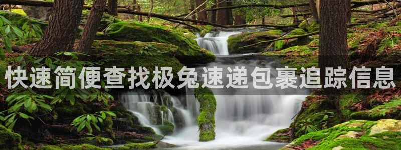 28圈相信品牌的力量：快速简便查找极