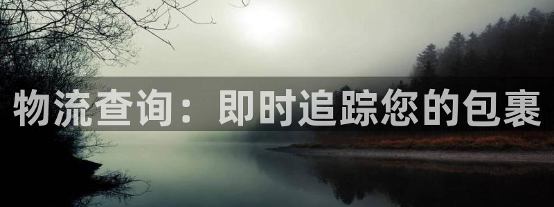 28圈加拿大2.8预测在线预测：物流