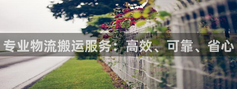 28圈登录不上咋回事：专业物流搬运服