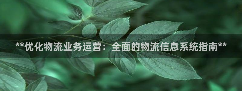 28圈模拟器在线玩：**优化物流业务