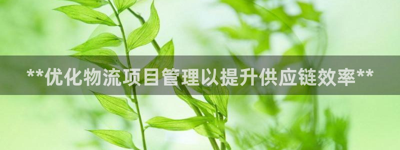 28圈注册与教程：**优化物流项目管