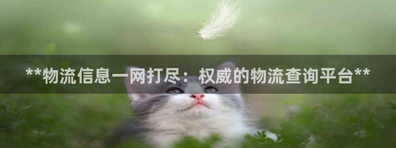 28圈自行车图片
