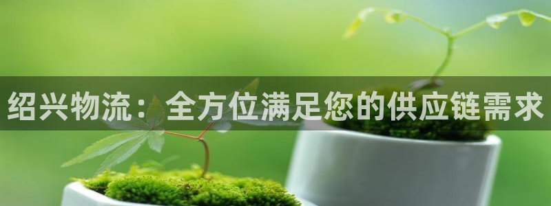28圈加拿大是什么：绍兴物流：全方位