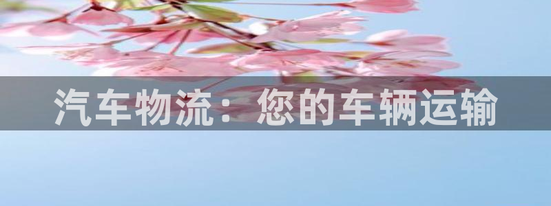 28圈p扣除是什么意思