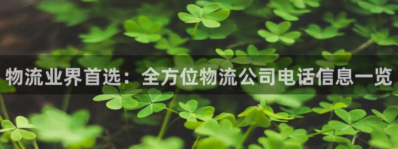 28圈.ccm2024：物流业界首选