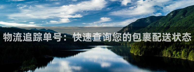 28圈注册官网：物流追踪单号：快速查