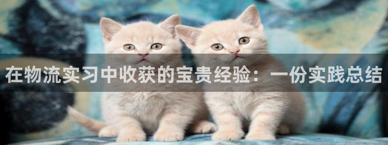 麻将128圈
