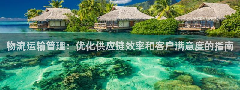 28圈平台注册：物流运输管理：优化供