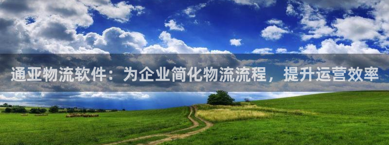 28圈网赌案件