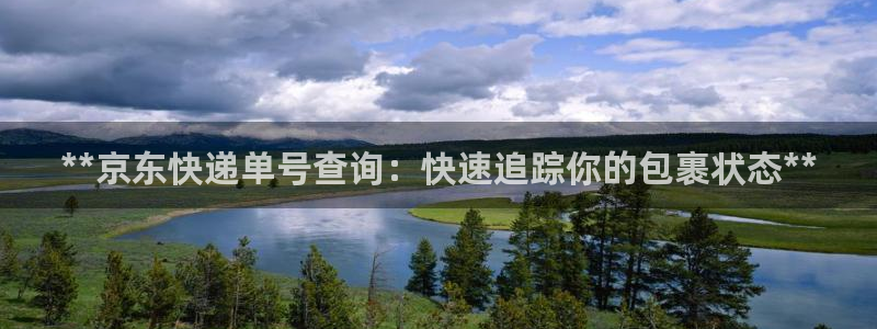 28圈开奖预测：**京东快递单号查询