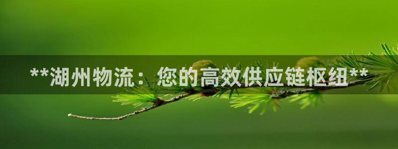 28圈充值为什么充不了：**湖州物流