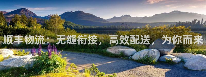 28圈龙虎：顺丰物流：无缝衔接，高效