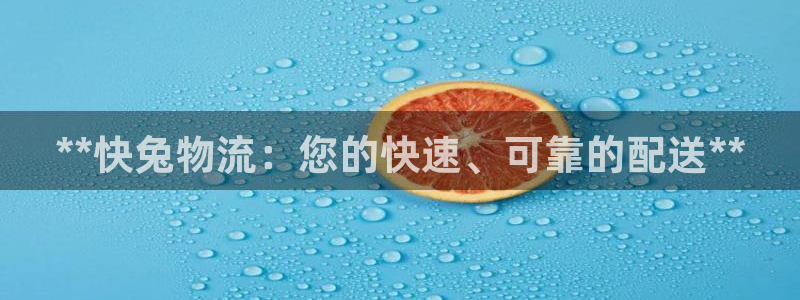28圈注册与教程：**快兔物流：您的