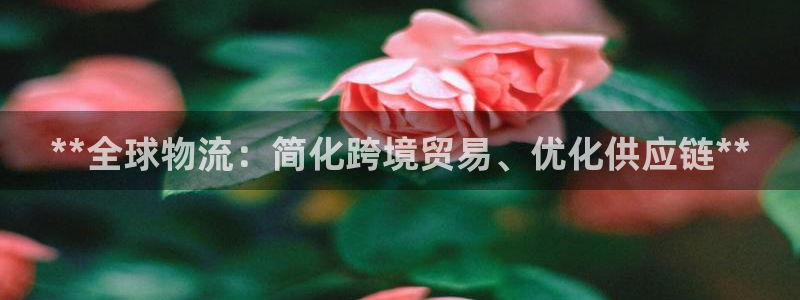 28圈官方网站：**全球物流：简化跨