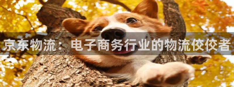 28圈注册二维码：京东物流：电子商务
