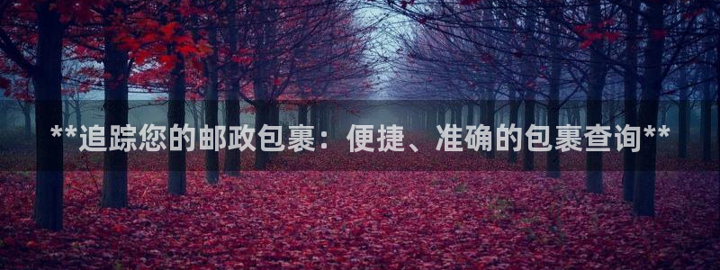 28圈注册问一问：**追踪您的邮政包