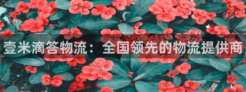 28圈能退款吗：壹米滴答物流：全国领
