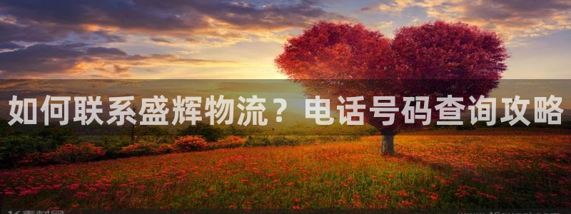28圈官方版网站：如何联系盛辉物流？