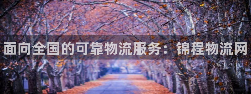 28圈激活码：面向全国的可靠物流服务