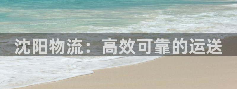 28圈麻将胡了：沈阳物流：高效可靠的