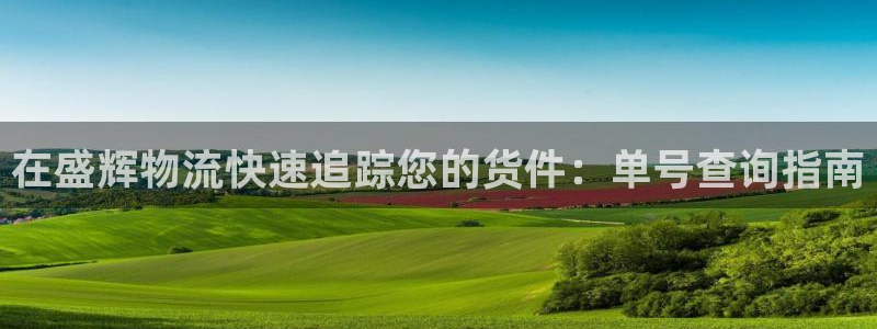 28圈绿骨头：在盛辉物流快速追踪您的