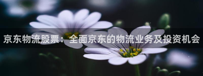 28圈最稳打法：京东物流股票：全面京
