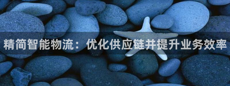28圈软件