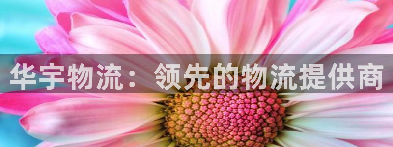 28圈网站平台：华宇物流：领先的物流