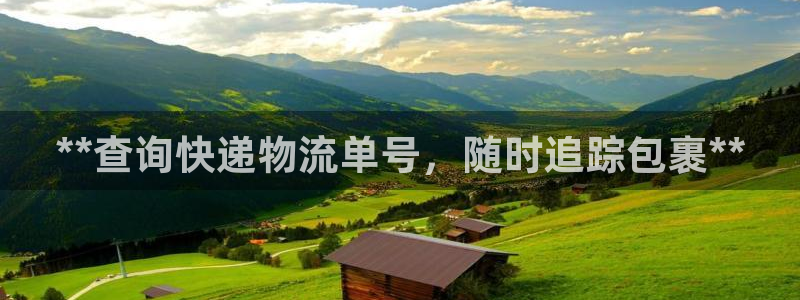 28圈龙虎